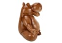 Online-Fuchs Gartenfigur Nilpferd Yoga Kunstharz Bild 4