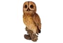 Online-Fuchs Gartenfigur Eule Braun 31 cm Kunstharz Bild 1