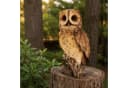 Online-Fuchs Gartenfigur Eule Braun 31 cm Kunstharz Bild 2
