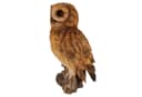 Online-Fuchs Gartenfigur Eule Braun 31 cm Kunstharz Bild 3