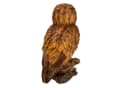 Online-Fuchs Gartenfigur Eule Braun 31 cm Kunstharz Bild 4