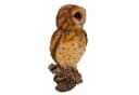 Online-Fuchs Gartenfigur Eule Braun 31 cm Kunstharz Bild 5
