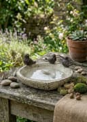 Home4Living Vogeltränke Vogelbad Steinoptik Hellbeige mit 3 Vögeln Bild 1