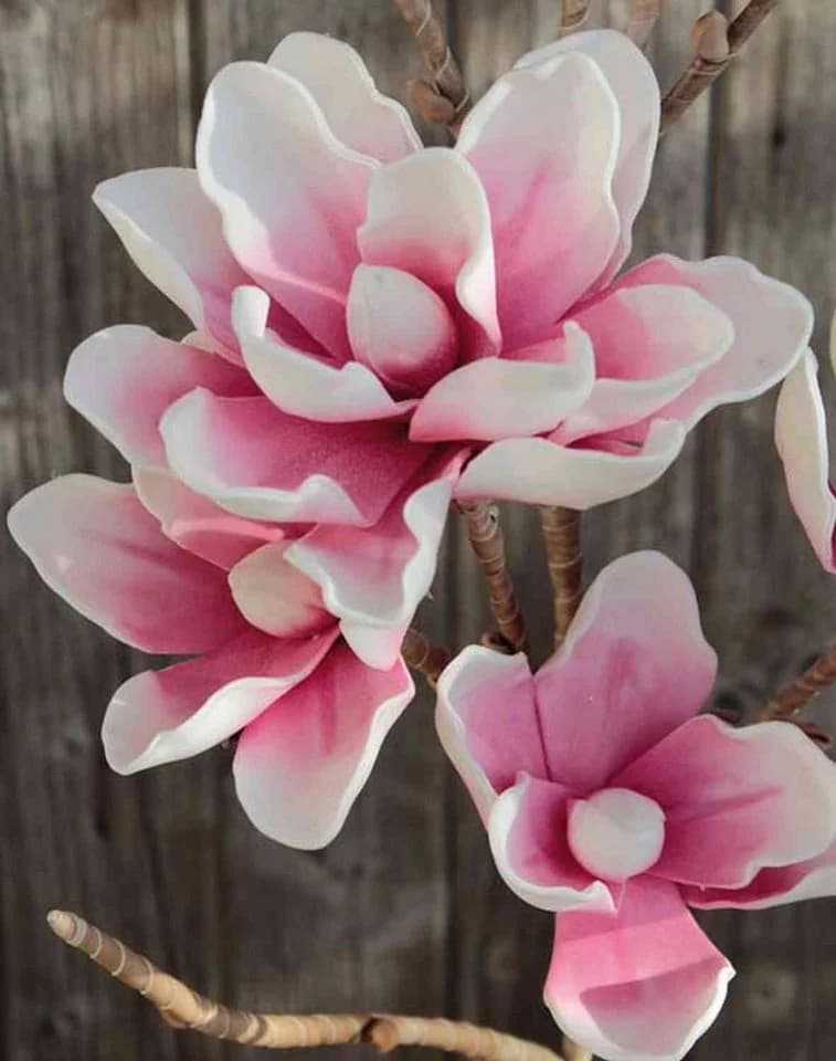 Kunstzweig Kunst Magnolia Birgitta Rosa-Weiß 110cm Magnolie Kunststoff