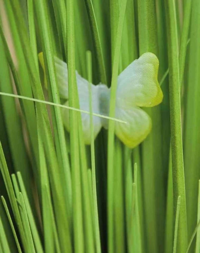 Kunstgras Kunst Schilf Finlay, Gypsophilia, Schmetterling, Weiß, 70cm, artplants