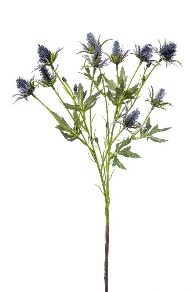 artplants Kunstzweig Edeldistel Blau 70cm Mannstreu