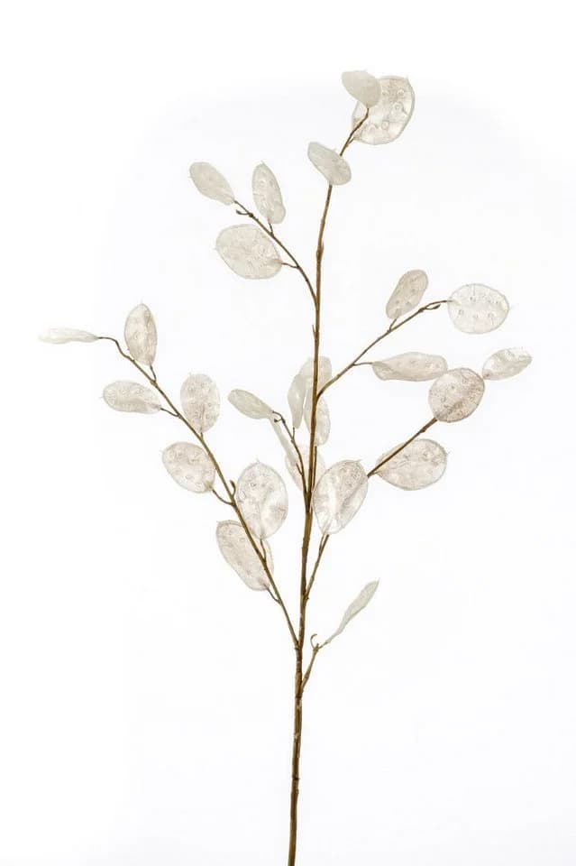 artplants Kunstzweig Lunaria BUELNA Creme Silber 105cm