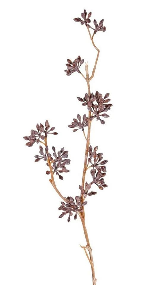 artplants Kunstzweig Eucalyptus Soha mit Früchten Braun 60cm