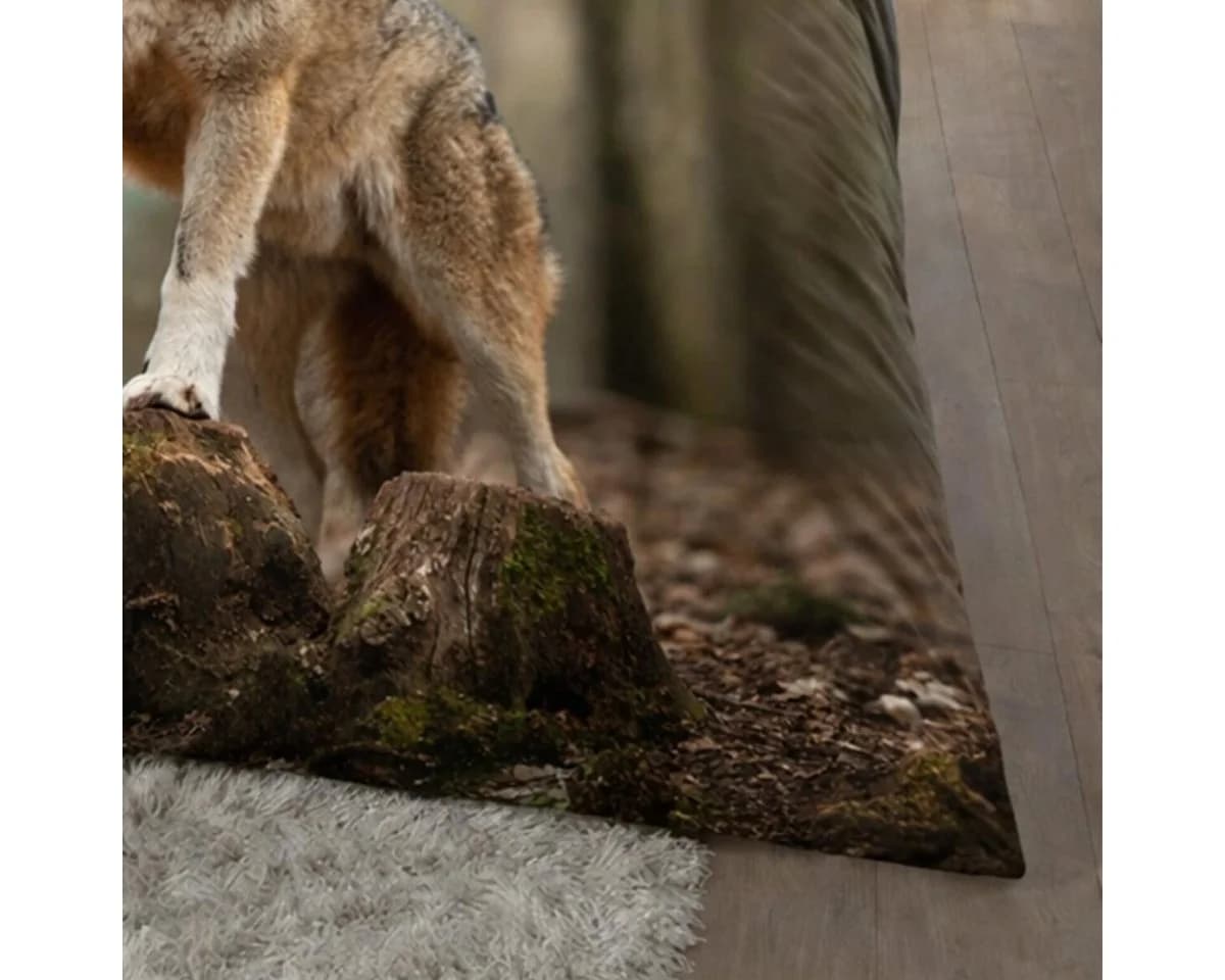 TRAUMSCHLAF Bettwäsche Wolf Grau Renforcé 2-teilig - Bild 3
