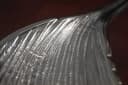 riess-ambiente Dekoschale ABSTRACT LEAF 64cm Silber Metall Blatt Bild 4
