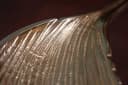 riess-ambiente Dekoschale ABSTRACT LEAF 64cm Gold Metall Blatt Bild 4