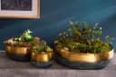 riess-ambiente Dekoschale ORIENT 31cm gold - Handarbeit Bild 3
