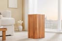 riess-ambiente Beistelltisch COLUMNA 50cm Braun Akazien-Massivholz Pflanzenständer Bild 1