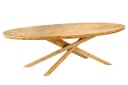 riess-ambiente Esstisch WOOD SCULPTURE 240cm Oval Pinienholz Bild 1