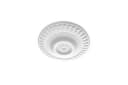 Hexim Stuckrosette Meeresleuchten 50cm Weiß EPS Bild 3