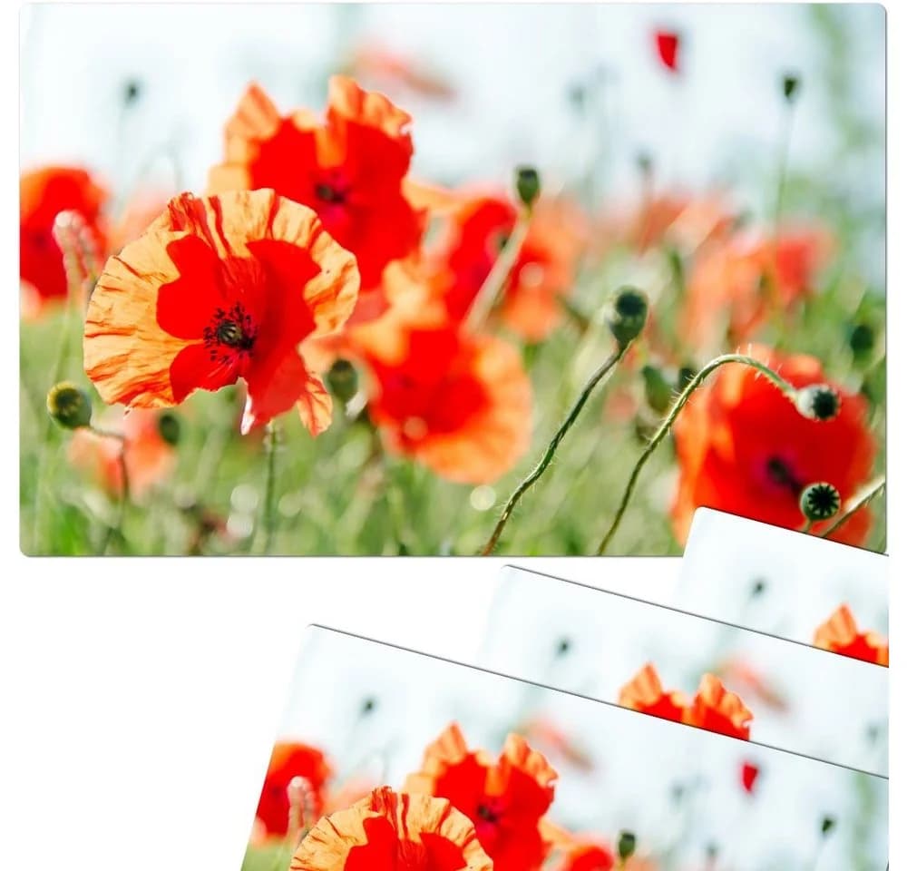 matches21 HOME & HOBBY Platzset 4er Set Sommer Mohnblumen Abwaschbar - Bild 2