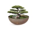 matches21 HOME & HOBBY Blumentopf Pflanzschale Rost-Optik Bild 2