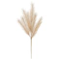 matches21 HOME & HOBBY Kunstblume Pampasgras Beige 91 cm Bild 2