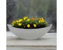 matches21 HOME & HOBBY Pflanzschale Oval Hellgrau Stein-Optik Bild 4
