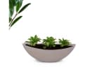 matches21 HOME & HOBBY Pflanzschale Oval 39 cm Sand Beige Wetterfest Bild 4