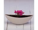 matches21 HOME & HOBBY Pflanzschale Oval 39 cm Sand Beige Wetterfest Bild 5