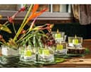 matches21 HOME & HOBBY Blumentopf Glastopf Quader Pflanztopf Würfel Bild 3