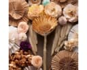 matches21 HOME & HOBBY Protea Trockenblumen 5er Set Orange Bild 1
