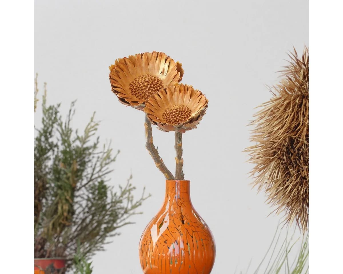 matches21 HOME & HOBBY Protea Trockenblumen 5er Set Orange - Bild 5