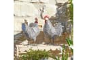 Mirabeau Deko-Huhn 2er Set Mannis Schwarz/Weiß Bild 3