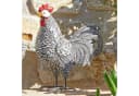 Mirabeau Deko-Huhn 2er Set Mannis Schwarz/Weiß Bild 5