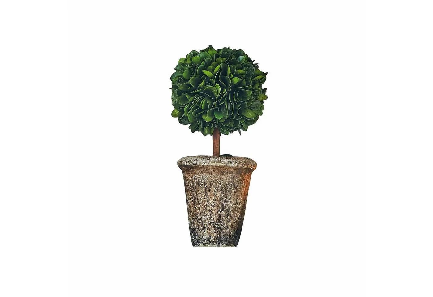 Mirabeau Deko-Baum Aube grün mit Terrakotta-Topf - Bild 2