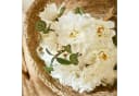 Kunstblume Deko-Blumenstrauß Quérisse Creme/Grün Mirabeau Bild 3