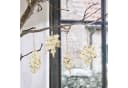 Mirabeau Dekoanhänger 4er Set Fleuriene Creme Baumwollfasern Bild 1
