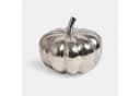 Mirabeau Deko-Kürbis 2er Set Alérisse silber Aluminium Bild 4