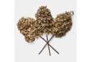 Mirabeau Trockenblumen 3er Set Hortensie Braun 38 cm Bild 2
