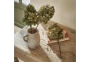 Mirabeau Trockenblumen 3er Set Hortensie Braun 38 cm Bild 3