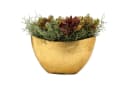 Flingora Jardiniere Odeta Gold Fiberglas Schiffchen Bild 3