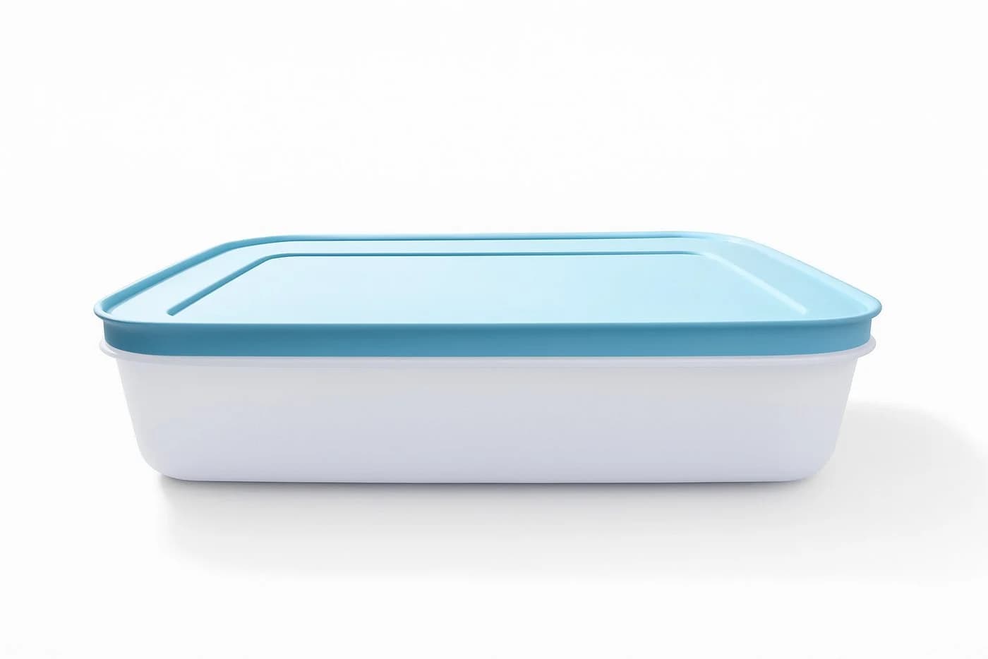 Tupperware Gefrier-Behälter 1,0 L Transparent