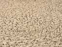 THE CARPET Kansas Teppich Rund Beige Polypropylen Jute-Look Outdoor Bild 4