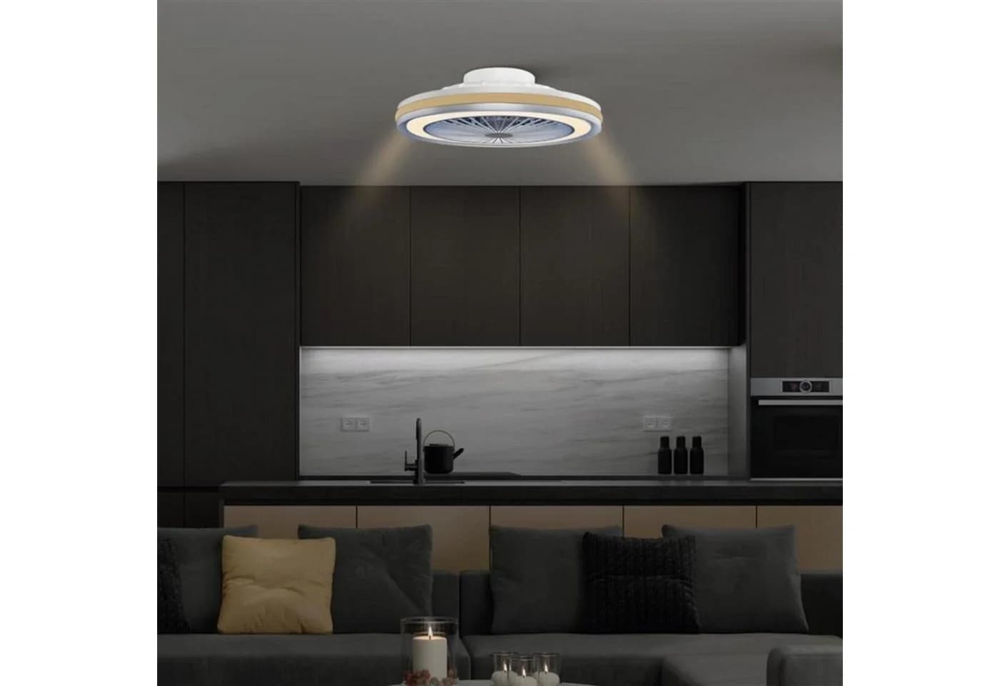 MeLiTec LED Deckenleuchte mit Ventilator DV06 Schwarz Dimmbar