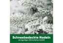 Salcar Künstlicher Weihnachtsbaum mit LED-Beleuchtung 180 cm Bild 1