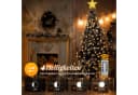 Salcar LED-Lichterkette 260 LEDs 15m mit Fernbedienung Bild 3