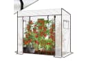 Sekey Tomatengewächshaus Winterfest Bild 2