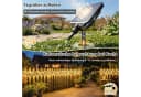 Salcar LED Solarleuchte Lichterkette 11,1m 560 LEDs Warmweiß Fernbedienung Bild 1