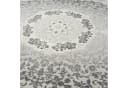 Carpetilla Designteppich Wohnzimmer Teppich Designer Teppich Orient Musterung Modern Grau Bild 4