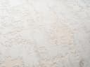 Carpetilla Designteppich Creme Kurzflor Modern Abstrakt Bild 5