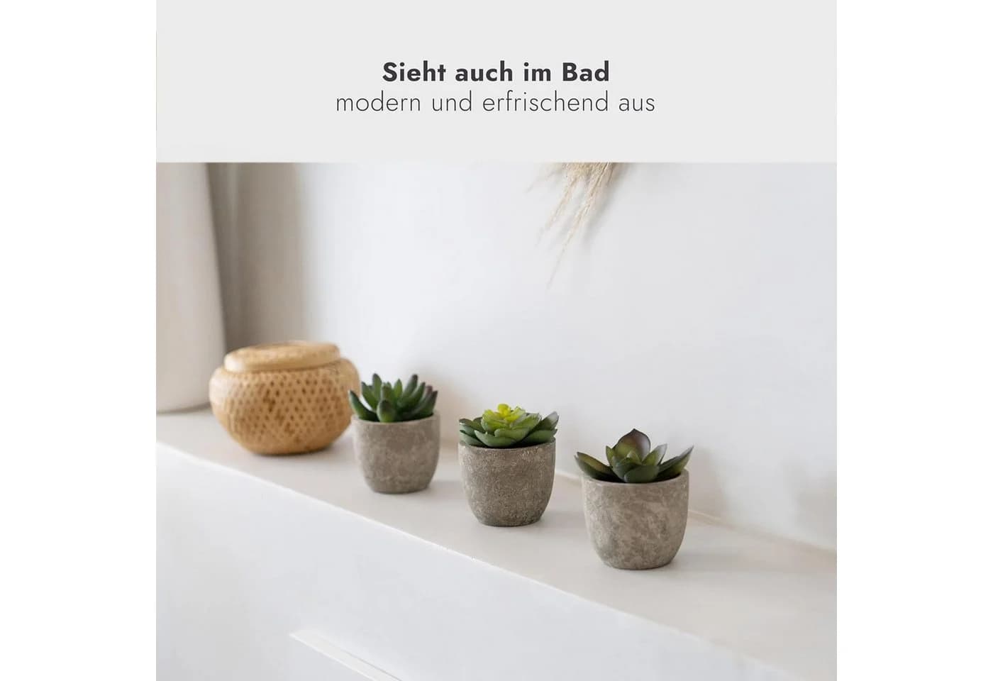 Kunstpflanze 6er Set Sukkulenten in Steinoptik-Töpfen addhome - Bild 3