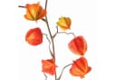 artplants Künstlicher Physalis Zweig PERSEI Orange 80cm Bild 1
