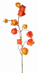 artplants Künstlicher Physalis Zweig PERSEI Orange 80cm Bild 2