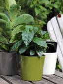 INNA-Glas Blumentopf Keramik Schwarz Ø 13,5 cm Bild 1